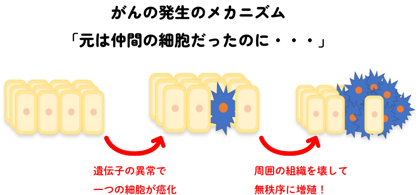 がん発生のメカニズム
