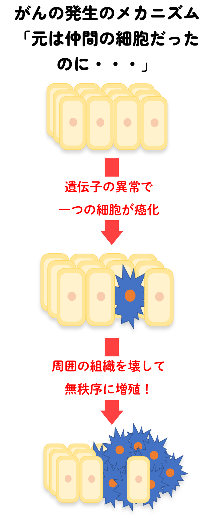 がん発生のメカニズム